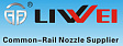 Liwei